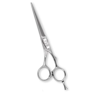 Hair Cutting Shears