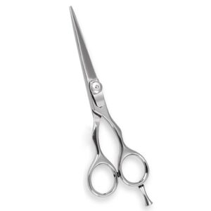 Hair Cutting Shears