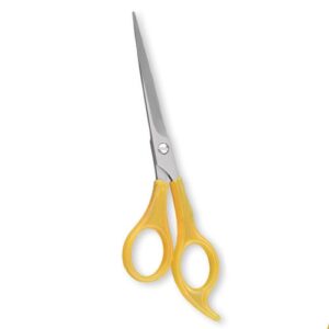 Plastic Handle Hair Scissors