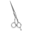 Hair Cutting Shears