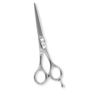 Hair Cutting Shears