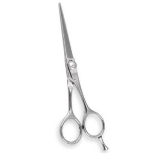 Hair Cutting Shears