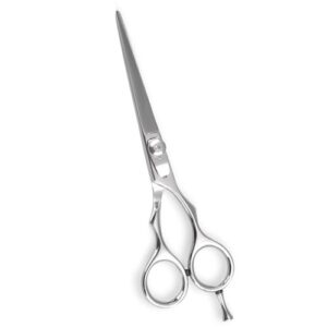 Hair Cutting Shears
