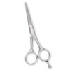 Hair Cutting Shears
