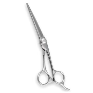 Hair Cutting Shears