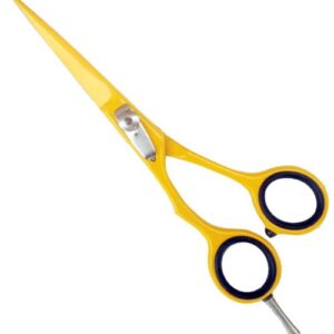 Titanium Coated Scissors